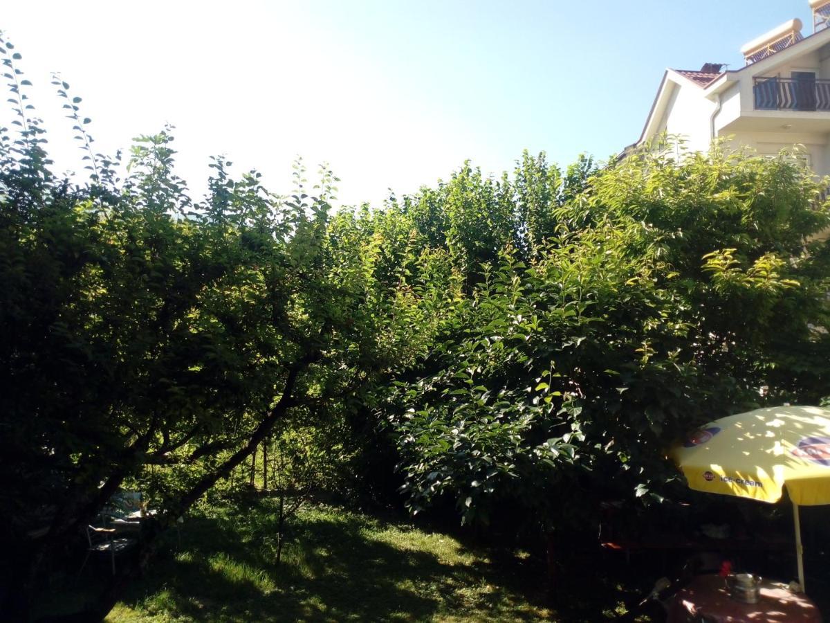 Vila Dudan Ochrid Exteriér fotografie